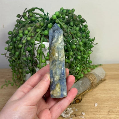 Blue Kyanite Point (L539)