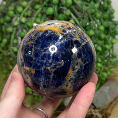 Sodalite Sphere (H944)