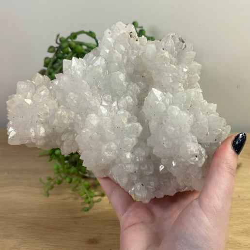 Apophyllite Cluster (D613)