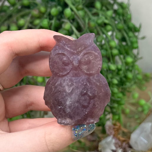 Purple Fluorite Owl (K561)