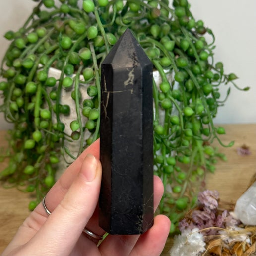 Shungite Point (L993)