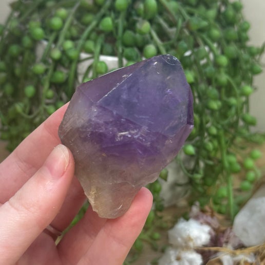 Amethyst Root (J732)