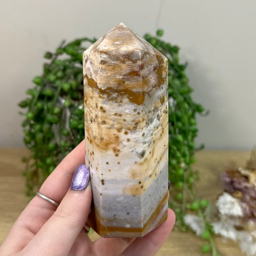 Ocean Jasper Tower (F884)
