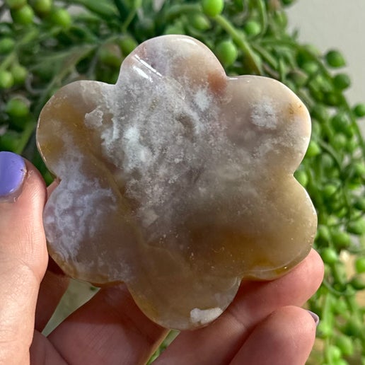 Flower Agate Flower (C969)