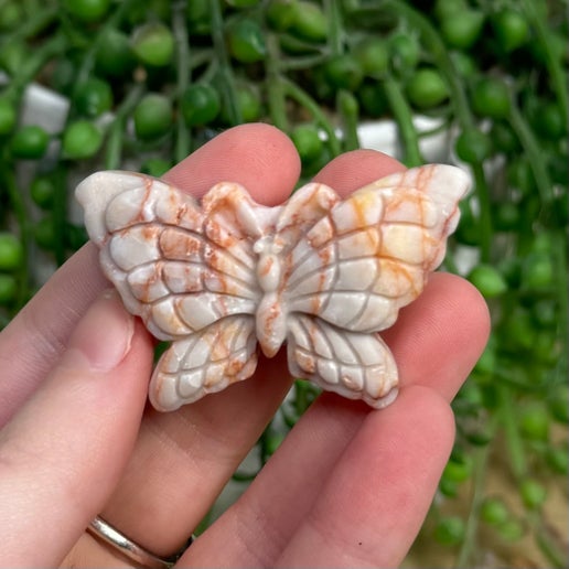 Red Vein Jasper Butterfly (G744)