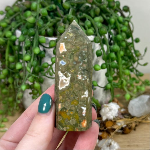 Rainforest Jasper Point (H899)