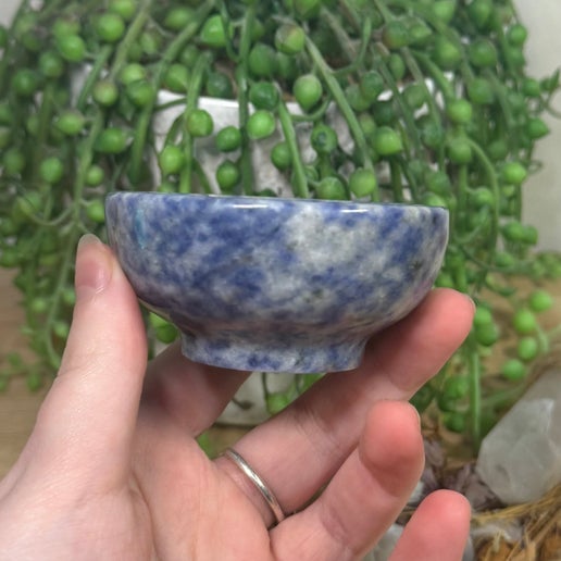 Blue Dot Bowl (L273)