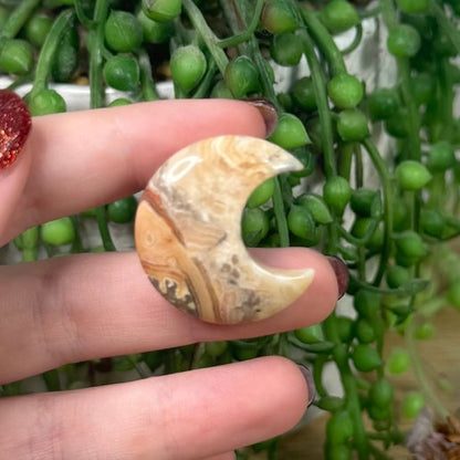 Crazy Lace Agate Moon Air vent Car Clip