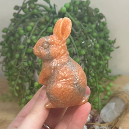 Sunstone Bunny (J795)