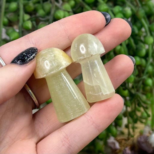 Green Banded Calcite Medium Mushrooms