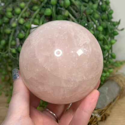 Rose Quartz Sphere (J769)