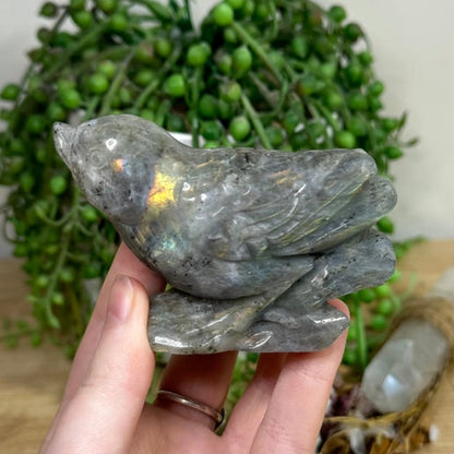 Labradorite Bird (J572)