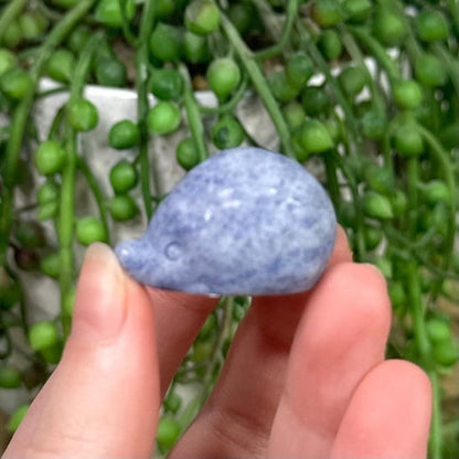 Blue Aventurine Hedgehog (E768)