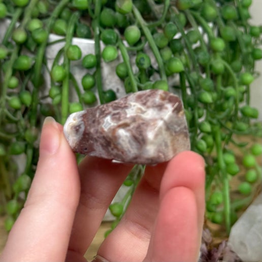 Mexican Crazy Lace Agate Free Form (B332)