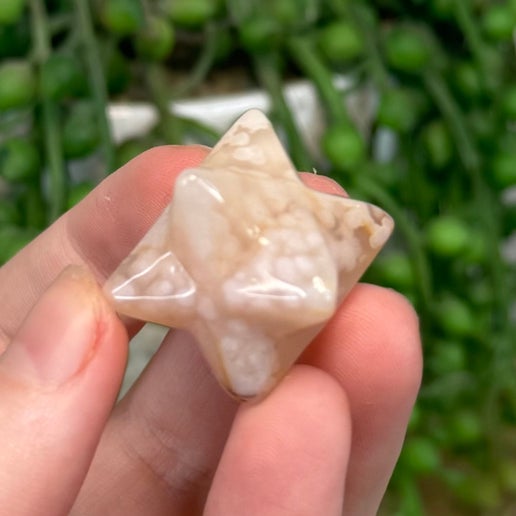 Flower Agate Merkaba (M130)