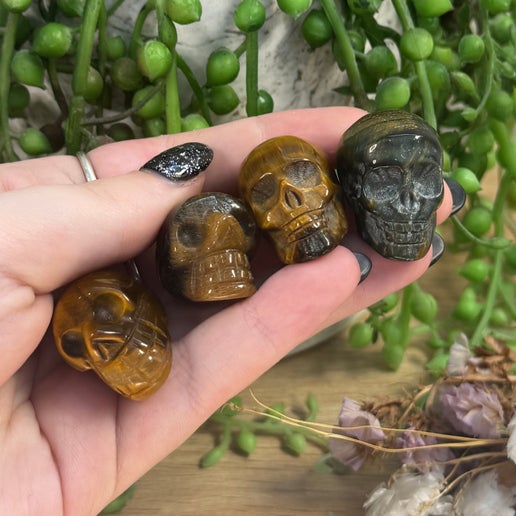 Tiger Eye Small Skulls