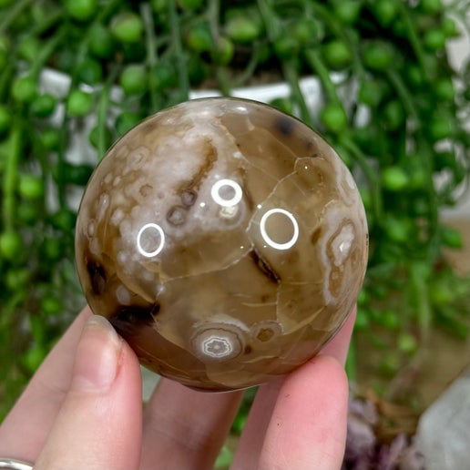 Black Flower Agate Sphere (M82)