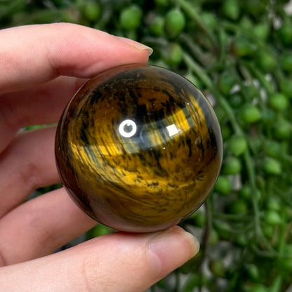 Tiger Eye Sphere (J763)
