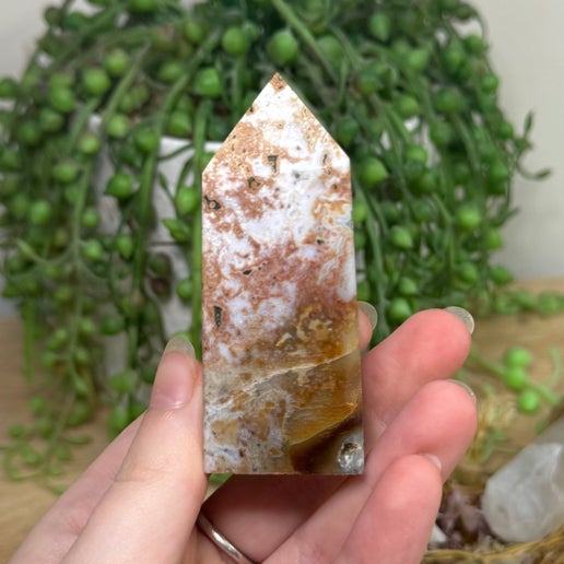 Ocean Jasper Point (K634)