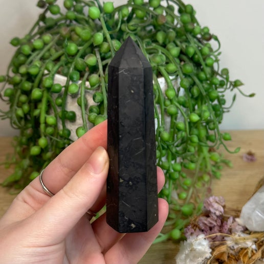 Shungite Point (L991)