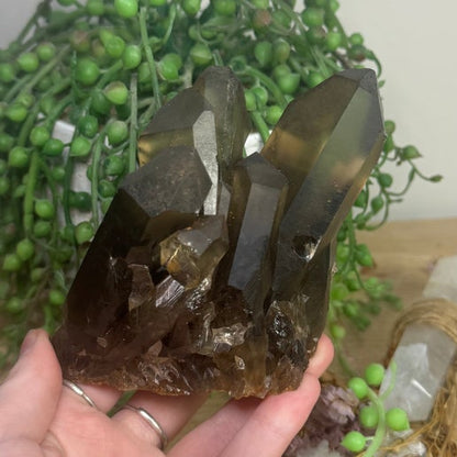 Smokey Quartz Cluster (L866)