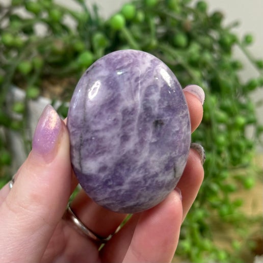 Lepidolite Palm Stone (E629) (E630)