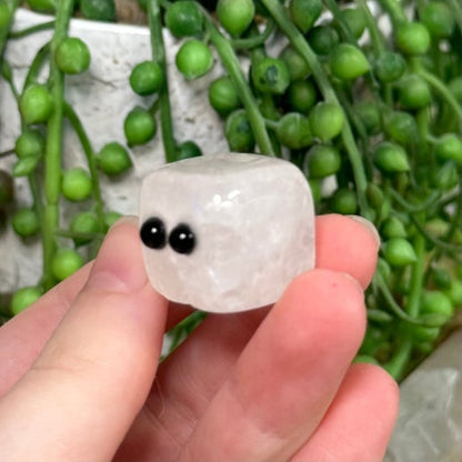 Clear Quartz Pet Rock