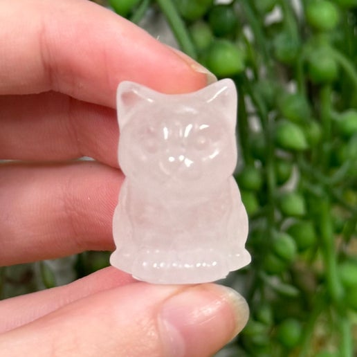 Clear Quartz Cat (J653)