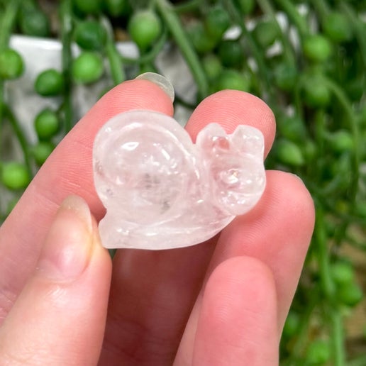 Clear Quartz Small Snail