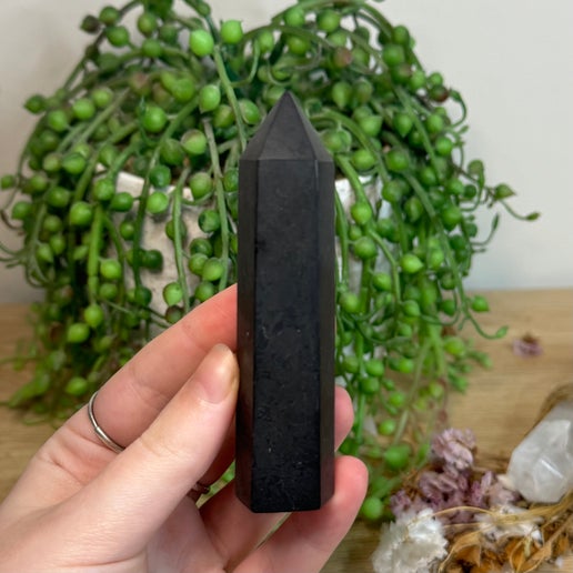 Shungite Point (L992)