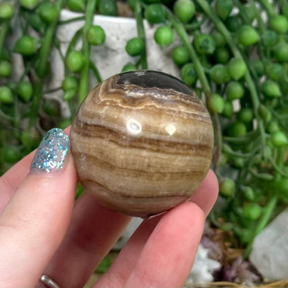 Chocolate Calcite Sphere (D630)