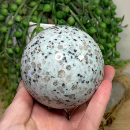 Kiwi Jasper Sphere (G484) (G482) (H549) (G483)