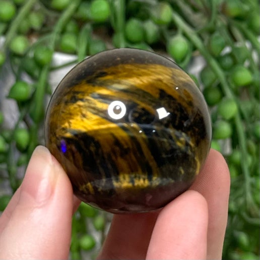 Tiger Eye Sphere (J761)