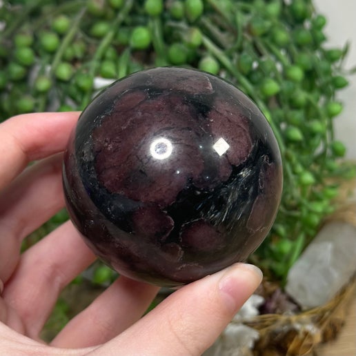 Garnet In Astrophyllite Sphere (J751)