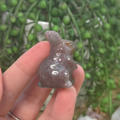 Ocean Jasper Bunny (G316)