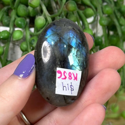 Labradorite Palm Stone (K856)