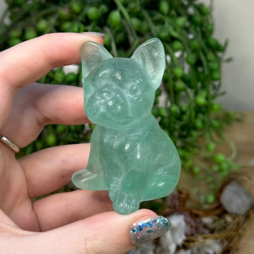 Green Fluorite French Bulldog (K999)