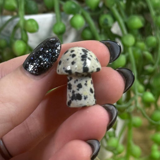 Dalmatian Jasper Mini Mushroom