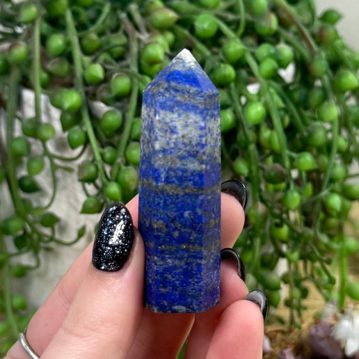 Lapis Lazuli Point (I341)