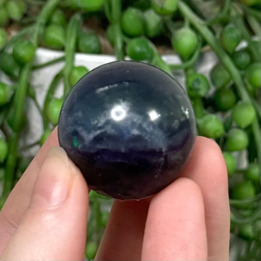 Rainbow Fluorite Sphere (H808)