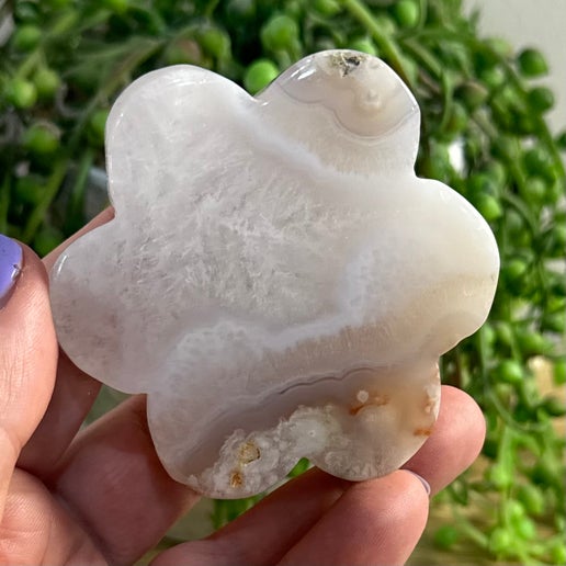 Flower Agate Flower (B328)