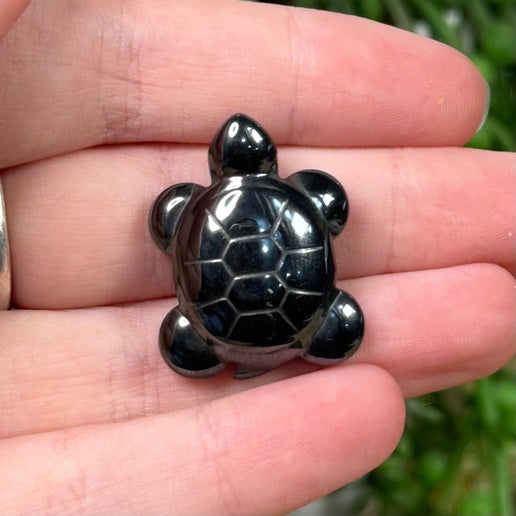 Terahertz Mini Turtle