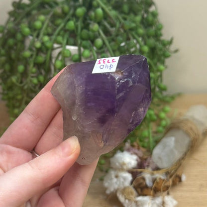 Amethyst Root (J735)