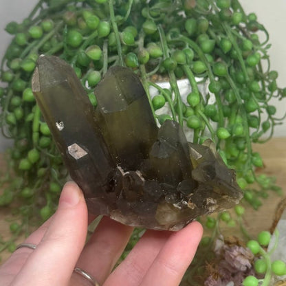 Smokey Quartz Cluster (L865)