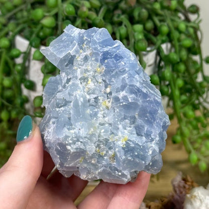 Blue Celestite Cluster (K154)