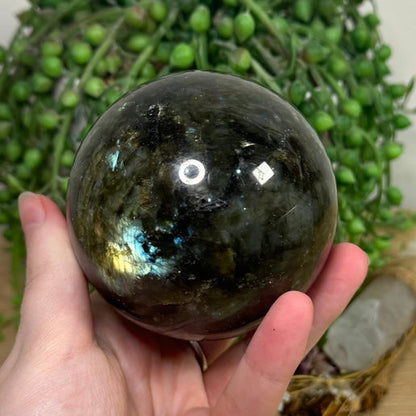 Labradorite Sphere (H744)