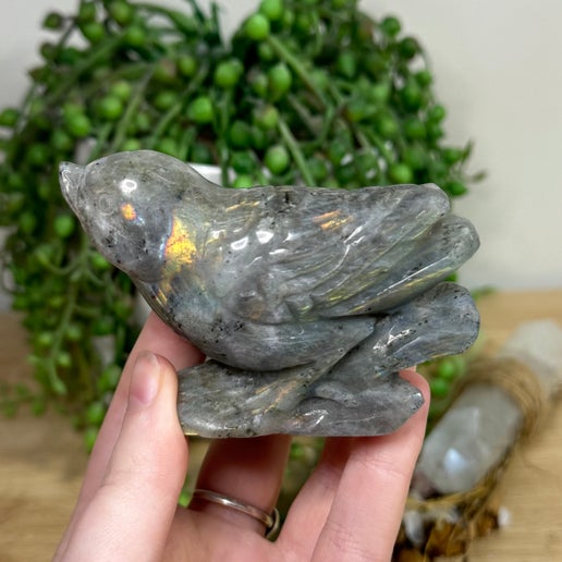 Labradorite Bird (J572)