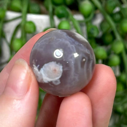 Black Flower Agate Sphere (E144)