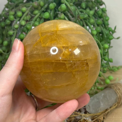 Golden Healer Sphere (H581)