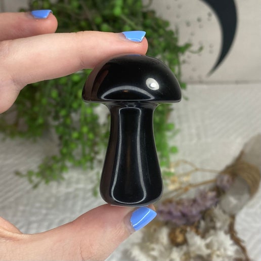 Black Obsidian Medium Mushroom (902)